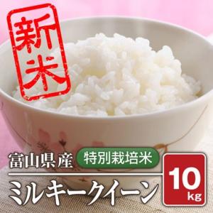 富山県産 特別栽培米 ミルキークィーン(令和5年) 10kg【白米】｜komegura85
