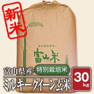 富山県産 特別栽培米 ミルキークィーン(令和5年) 30kg【玄米】｜komegura85