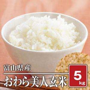富山県産　幻の品種　おわら美人(令和5年) 5kg【玄米】｜komegura85