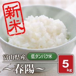 「低タンパク米」 春陽(令和5年産) 5kg【白米】｜komegura85