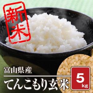 富山県産 てんこもり(令和5年) 5kg【玄米】｜komegura85