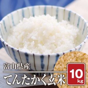 富山県産 てんたかく(令和5年) 10kg【玄米】