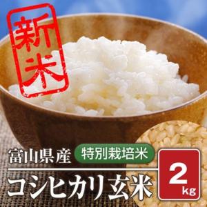 富山県産　特別栽培米コシヒカリ(令和5年) 2kg【玄米】｜komegura85