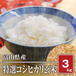 富山県入善産 特選コシヒカリ(令和5年) 3kg【玄米】