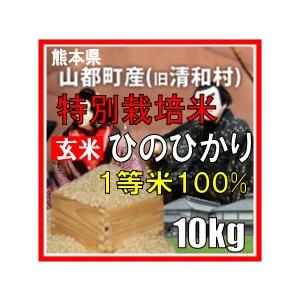 令和3年産　玄米　熊本県山都町産　特別栽培米　ひのひかり　10kg