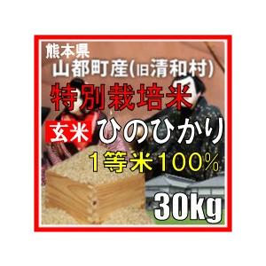 令和3年産　玄米　熊本県山都町産　特別栽培米　ひのひかり　30kg