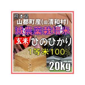 令和元年産　玄米　熊本県山都町産　減農薬栽培米　ひのひかり　20kg