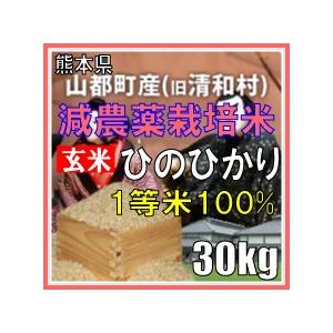令和元年産　玄米　熊本県山都町産　減農薬栽培米　ひのひかり　30kg