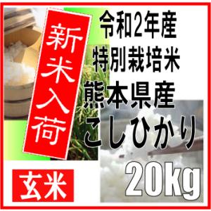 玄米　令和2年産　熊本県産　特別栽培米　こしひかり　20ｋｇ