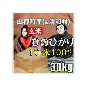 平成29年 玄米 山都町産(旧清和村)ひのひかり 30kg