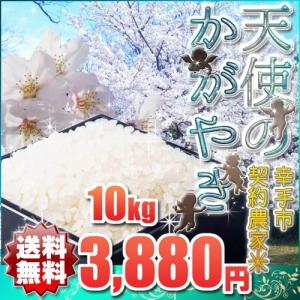 米 お米 玄米 時10kg ブレンド米 天使のかがやき 9kg  地域限定 送料無料