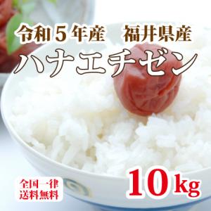 令和５年産 福井県産ハナエチゼン 10kg 白米 安い 5kg×2 ブランド米 単一原料米 送料無料