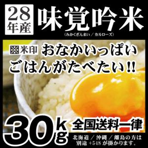 米 30kg お米 安い 味覚吟米 白米 30kg×1 安値...