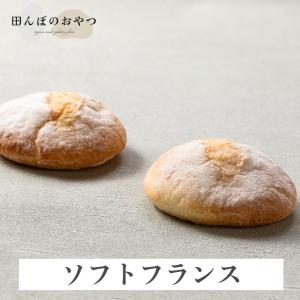 米粉 ソフトフランス（2個セット） 白砂糖不使用 卵不使用 乳製品不使用 自然栽培米 グルテンフリーパン 米粉パン