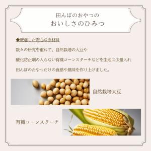 米粉 ソフトフランス(2個セット) 白砂糖不使...の詳細画像4