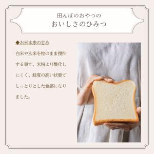 米粉 ソフトフランス(2個セット) 白砂糖不使...の詳細画像3