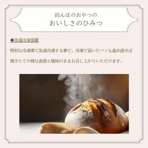 米粉 ソフトフランス(2個セット) 白砂糖不使...の詳細画像5