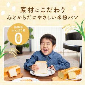 米粉パン グルテンフリー アレルギー対応 代替...の詳細画像2