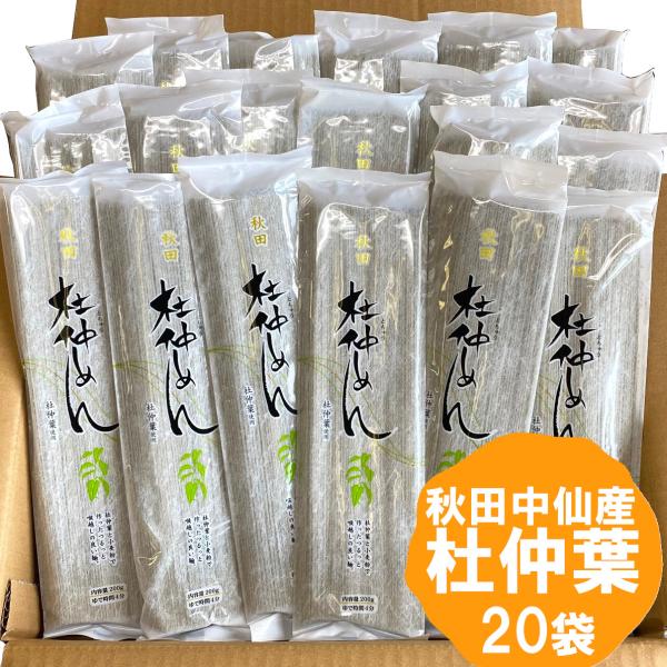 秋田 物産中仙 杜仲めん 20束セット ご自宅用 とちゅうめん
