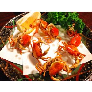 こめ油 米油 1500g×5本 築野食品 国産...の詳細画像3