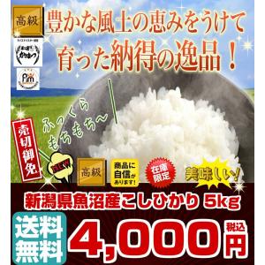 コシヒカリ 令和3年産 5kg 魚沼産 米 お米...の商品画像