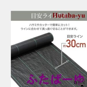 防草シート 除草シート ピン付きあり 2m×1...の詳細画像5