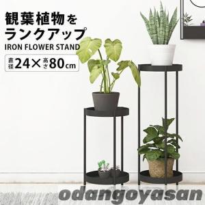 フラワースタンド プランタースタンド アイアン ゴールド 花台 玄関 消毒 スタンド ラック