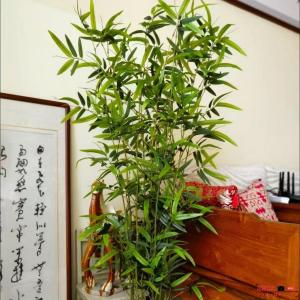 人工竹 装飾フェンス 屋外対応 高耐久 プライバシー保護スクリーン ホテルロビー オフィス 自宅庭用 防風防雨 リアル竹葉デザイン 卸売可能 DIY 緑のパーティシ