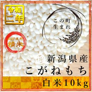 令和2年産 新潟県 こがねもち 5kg × 2袋 白米