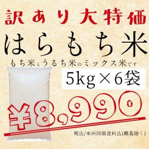 はらもち米 30kg 訳あり うるち米＆もち米ミックス 処分価格
