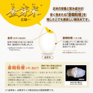 金の米粉パンシリーズ「金芽米おむすびパン(あお...の詳細画像2