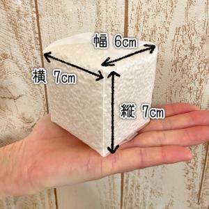 退職 粗品 お世話になりました 爆買 米 ギフ...の詳細画像2