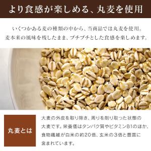 パックご飯 150g 24食 麦ご飯 パック ...の詳細画像4