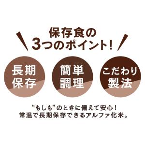 非常食 非常食セット 防災食セット アルファ米...の詳細画像3
