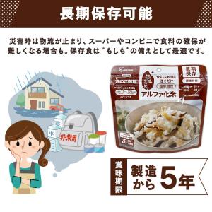 非常食 非常食セット 防災食セット アルファ米...の詳細画像4