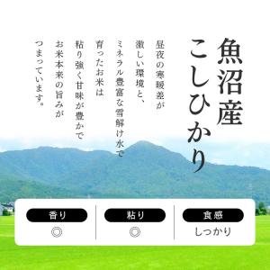 パックご飯 150g 3食 新潟県産 こしひか...の詳細画像2