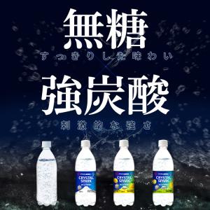 炭酸水 500ml 24本 強炭酸水 プレーン...の詳細画像2