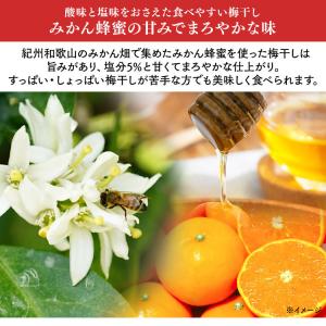梅干し はちみつ 800g (400g×2個)...の詳細画像1