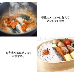 梅干し はちみつ 800g (400g×2個)...の詳細画像4
