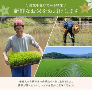 米10kg (5kg×2袋) 米 10kg お...の詳細画像3