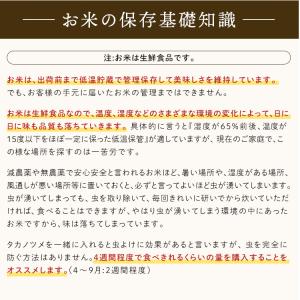 米10kg (5kg×2袋) 米 10kg お...の詳細画像5