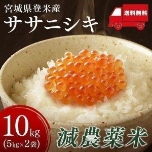 お米 29年 5キロ×2袋 宮城県産 ササニシキ ささにしき...