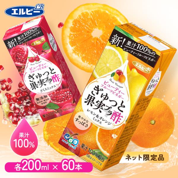 果実酢 紙パック 200ml  60本 エルビー フルーツビネガー 無添加 酢 果汁100％ リンゴ...