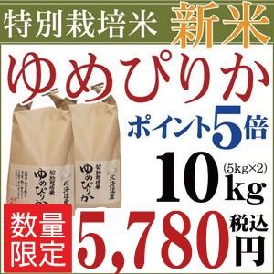 お米 10kg 令和4年産 新米 1等米 北海道産 特別栽培米（減農薬） ゆめぴりか 5kg×2袋