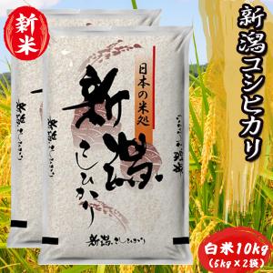 お米 新米  新潟県産 コシヒカリ 白米 10kg （5kg×2袋）