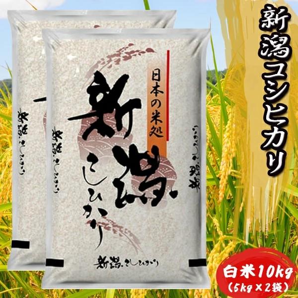 米 新潟県 コシヒカリ 令和7年 10kg 新潟県産 コシヒカリ 白米10kg （5kg×2） ｜