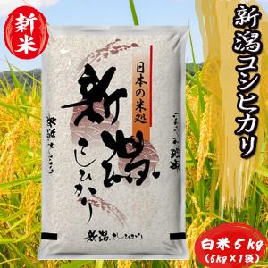 米 令和5年 お米 5kg  送料無料 新潟県産 コシヒカリ 白米 5kg （5kg×1袋）｜ 米 おこめ お米 5kg 白米 送料無料 ｜ LINE友達登録で5%OFFクーポンン