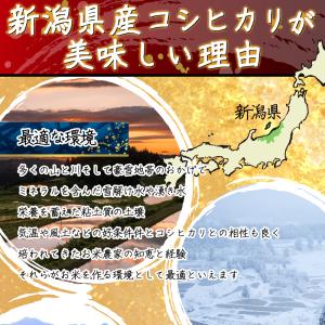 新米 新潟県 コシヒカリ 令和8年産新米予約 ...の詳細画像2