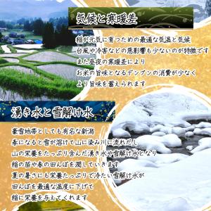 新米 新潟県 コシヒカリ 令和8年産新米予約 ...の詳細画像3