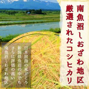 米 魚沼産 コシヒカリ 令和7年 玄米30kg...の詳細画像4